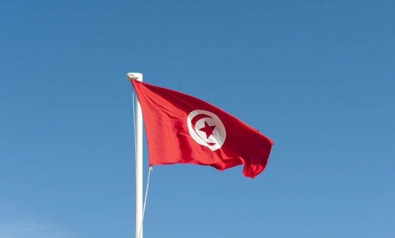 ليلة سقوط جديدة.. القضاء التونسي يصدر أحكاما قاسية ضد الإخوان