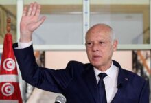 سعيّد يشدد على صون القرار الوطني من التأثيرات الأجنبية