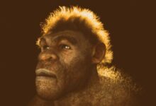 المشي على قدمين: اكتشاف حديث يغير فهمنا لتطور الإنسان