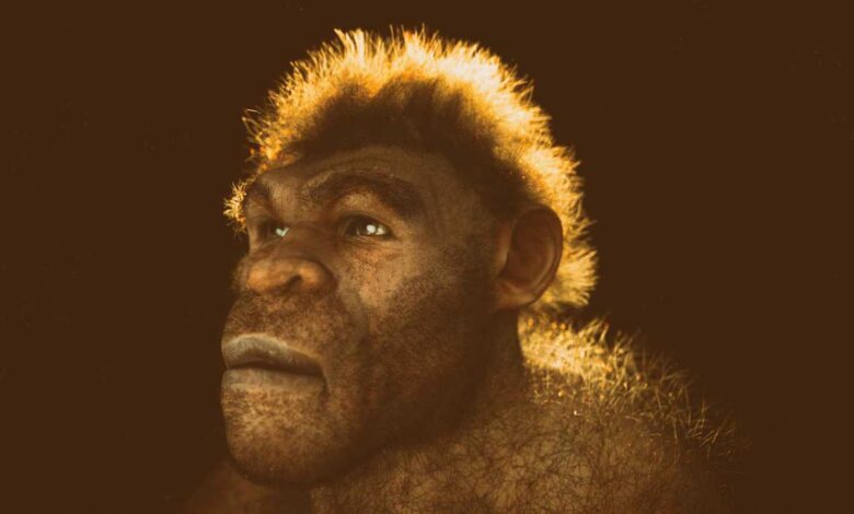 المشي على قدمين: اكتشاف حديث يغير فهمنا لتطور الإنسان