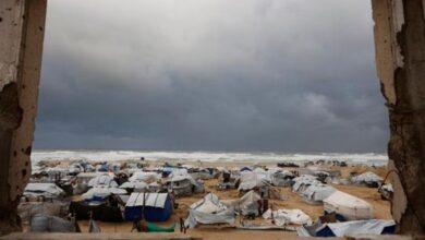 خطوة أمريكية جديدة: ترامب يؤسس مجلسًا للسلام في غزة