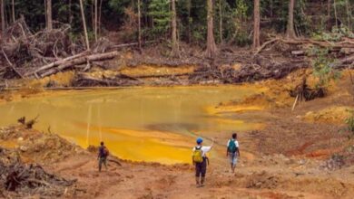 فرنسا تشدد قبضتها في غويانا وسط تصاعد تهديد عصابات الذهب