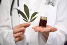 المغرب يدخل مرحلة جديدة بإطلاق أول دواء مشتق من القنب