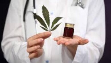 المغرب يدخل مرحلة جديدة بإطلاق أول دواء مشتق من القنب