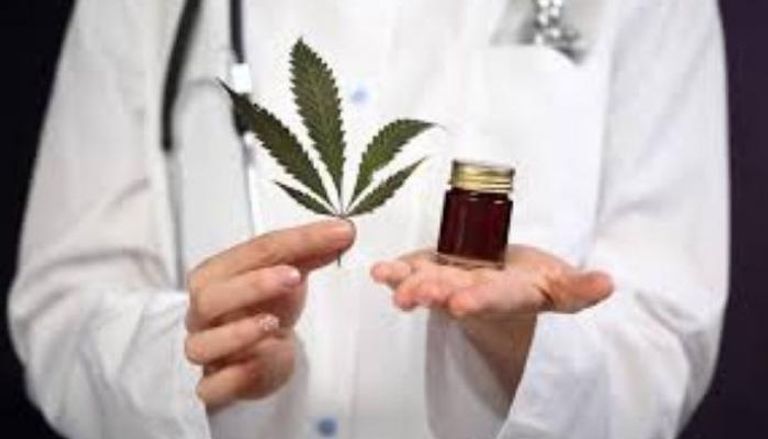 المغرب يدخل مرحلة جديدة بإطلاق أول دواء مشتق من القنب