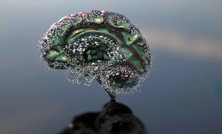 تأثير الجفاف على الدماغ: لماذا يكفي نقص الماء بسيط لتعطيل وظائفك؟