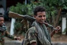 تحالف الضرورة: هل يستخدم الجيش السوداني ورقة تيغراي في مواجهة إثيوبيا؟