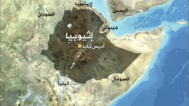 تحالفات متحركة في القرن الإفريقي: قراءة سياسية في تموضع تيغراي داخل السودان