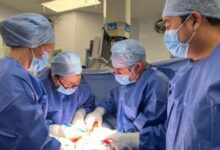 من الحلم إلى الواقع.. ولادة طفل بعد زراعة رحم متبرعة متوفاة في بريطانيا