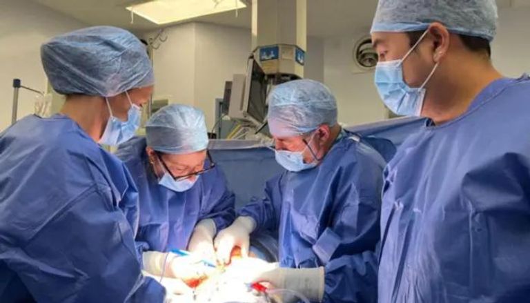 من الحلم إلى الواقع.. ولادة طفل بعد زراعة رحم متبرعة متوفاة في بريطانيا