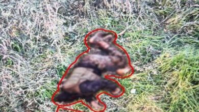 إنذارات وإخلاء.. المواجهة تشتد في الجنوب اللبنانير