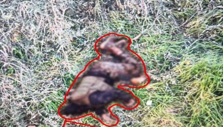 إنذارات وإخلاء.. المواجهة تشتد في الجنوب اللبنانير