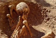 اكتشاف صادم في فرنسا: هياكل عظمية بوضعيات غير معتادة يثير التساؤلات