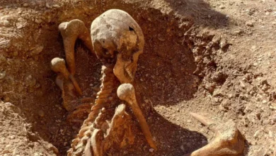 اكتشاف صادم في فرنسا: هياكل عظمية بوضعيات غير معتادة يثير التساؤلات