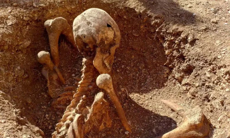 اكتشاف صادم في فرنسا: هياكل عظمية بوضعيات غير معتادة يثير التساؤلات