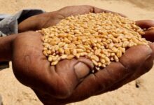 الأزمة تتفاقم.. الحرب في إيران قد تضيف 45 مليون جائع حول العالم