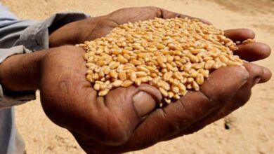 الأزمة تتفاقم.. الحرب في إيران قد تضيف 45 مليون جائع حول العالم