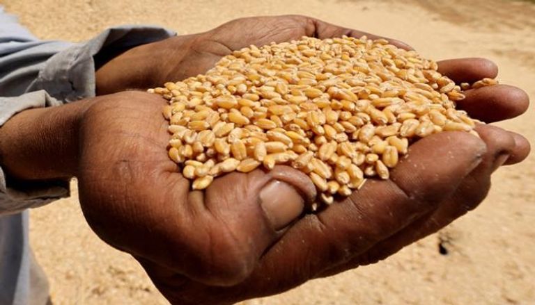 الأزمة تتفاقم.. الحرب في إيران قد تضيف 45 مليون جائع حول العالم