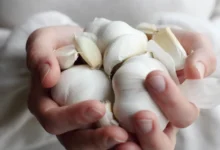 الثوم وصحة القلب.. ماذا تكشف الدراسات عن الاستهلاك اليومي؟