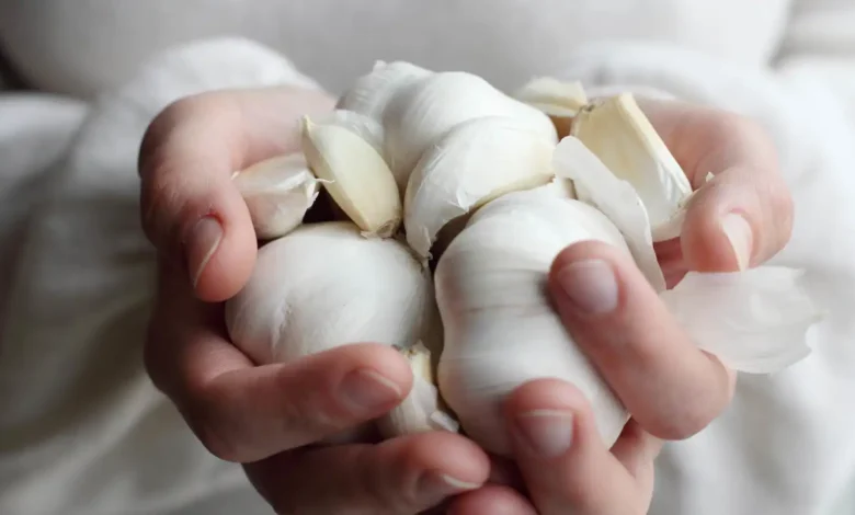 الثوم وصحة القلب.. ماذا تكشف الدراسات عن الاستهلاك اليومي؟