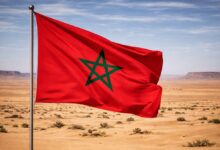 تأييد دولي واسع.. 40 دولة تؤكد دعمها لمغربية الصحراء في جنيف