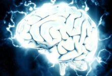 دراسة تكشف آلية دماغية خفية تتحكم في الشعور بالسعادة