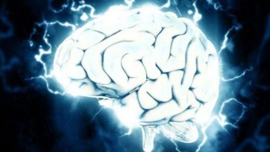 دراسة تكشف آلية دماغية خفية تتحكم في الشعور بالسعادة