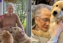 مسنّة في الخامسة والتسعين تتحول إلى نجمة على منصات التواصل