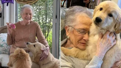 مسنّة في الخامسة والتسعين تتحول إلى نجمة على منصات التواصل