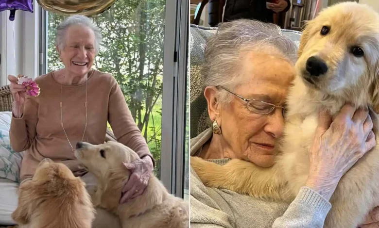 مسنّة في الخامسة والتسعين تتحول إلى نجمة على منصات التواصل