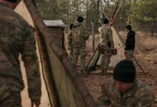 أكل الحشرات مفتاح النجاة.. كيف ساعد تدريب خاص طيارا أمريكيا؟