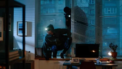 الأثاث الفاخر هدفه الوحيد… قصة لص غير تقليدي