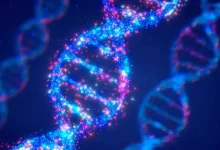 بين العلم والعمر.. اكتشاف جديد حول دور الحمض النووي