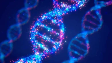 بين العلم والعمر.. اكتشاف جديد حول دور الحمض النووي