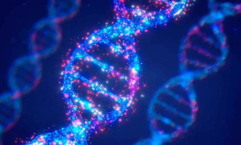 بين العلم والعمر.. اكتشاف جديد حول دور الحمض النووي