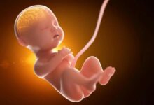 دراسة تكشف.. مواد كيميائية قد تغيّر تطور الجنين قبل الولادة