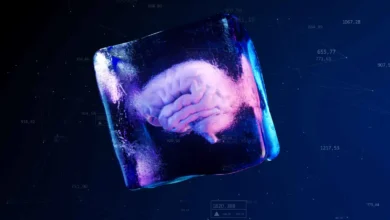 دراسة مبتكرة تكشف إمكانية استعادة وظائف أنسجة الدماغ بعد التجميد