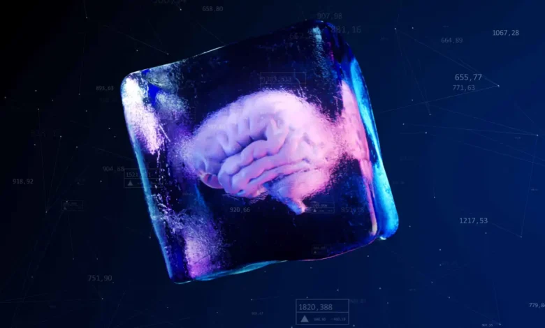 دراسة مبتكرة تكشف إمكانية استعادة وظائف أنسجة الدماغ بعد التجميد