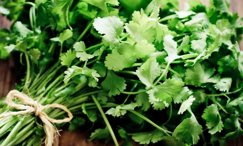 فوائد صحية مذهلة لأعشاب يومية في مكافحة السرطان وأمراض القلب