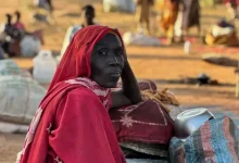 إحالة الشبكة السودانية إلى دائرة أمن الدولة.. دلالات استراتيجية وأبعاد أمنية