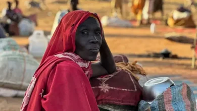 إحالة الشبكة السودانية إلى دائرة أمن الدولة.. دلالات استراتيجية وأبعاد أمنية