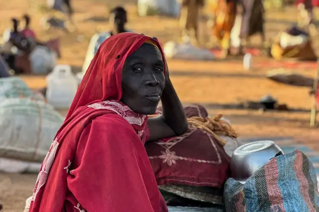 إحالة الشبكة السودانية إلى دائرة أمن الدولة.. دلالات استراتيجية وأبعاد أمنية