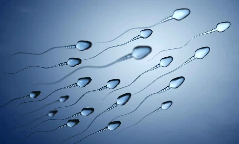 تأثير الساونا على الخصوبة الذكورية.. ما مدى الخطورة؟