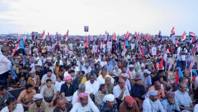 من الجزر إلى الوادي.. تصاعد الدعم الشعبي للمجلس الانتقالي في الجنوب