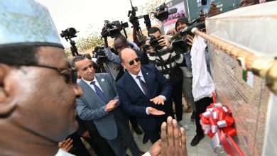 الجزائر تراهن على قطاع الطاقة لتوسيع نفوذها في الساحل الإفريقي