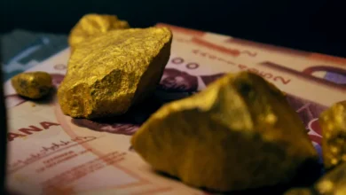 ذهب الدماء وثروات الصحراء: الصراع على الموارد يشعل حدود السودان ومصر الشمالية