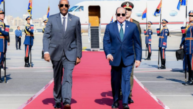 تأثير التدخل المصري في إعادة تشكيل موازين القوى داخل السودان
