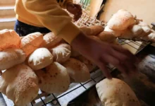 قطع الخبز من نظامك الغذائي.. ماذا سيحدث؟