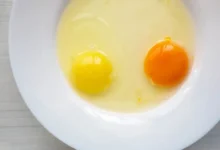 من الأصفر الفاتح إلى البرتقالي.. ما سر اختلاف لون صفار البيض؟