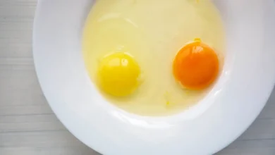 من الأصفر الفاتح إلى البرتقالي.. ما سر اختلاف لون صفار البيض؟